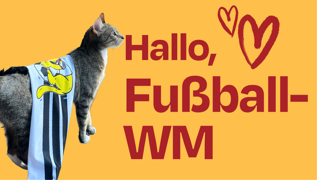 Die WM ist da - und wir feiern natürlich mit ⚽