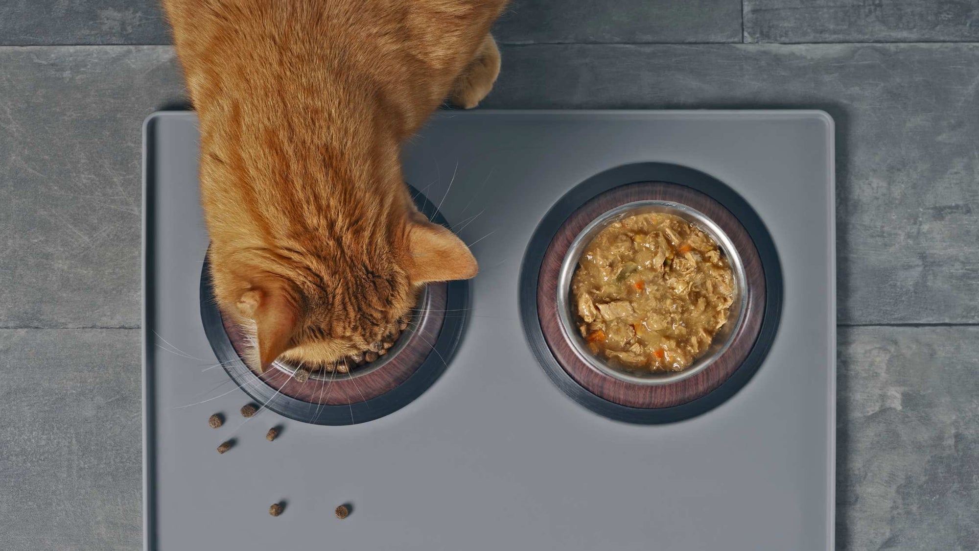 Mixed feeding for cats