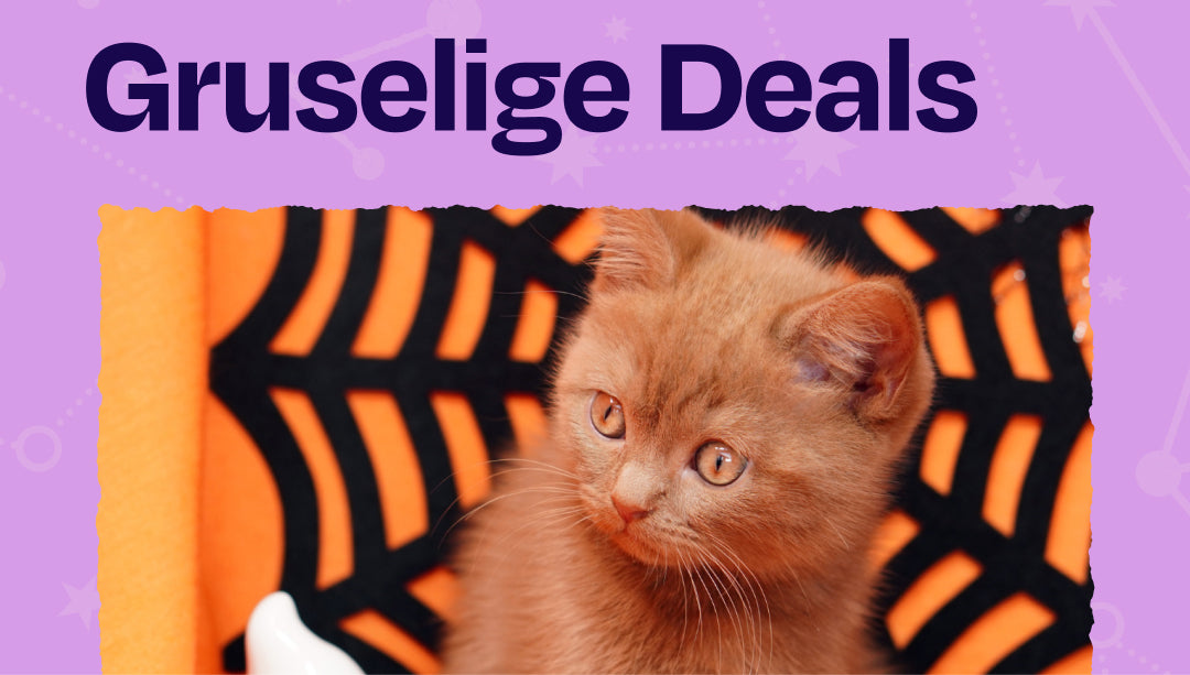 Schaurig gute Deals! (#NightoftheWerCat)