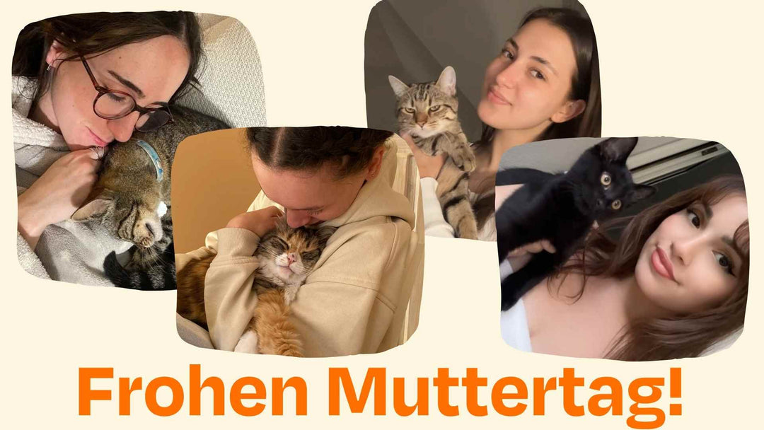 Frohen Muttertag, liebe Katzenmama