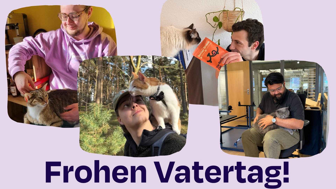 Frohen Vatertag, lieber Katzenpapa