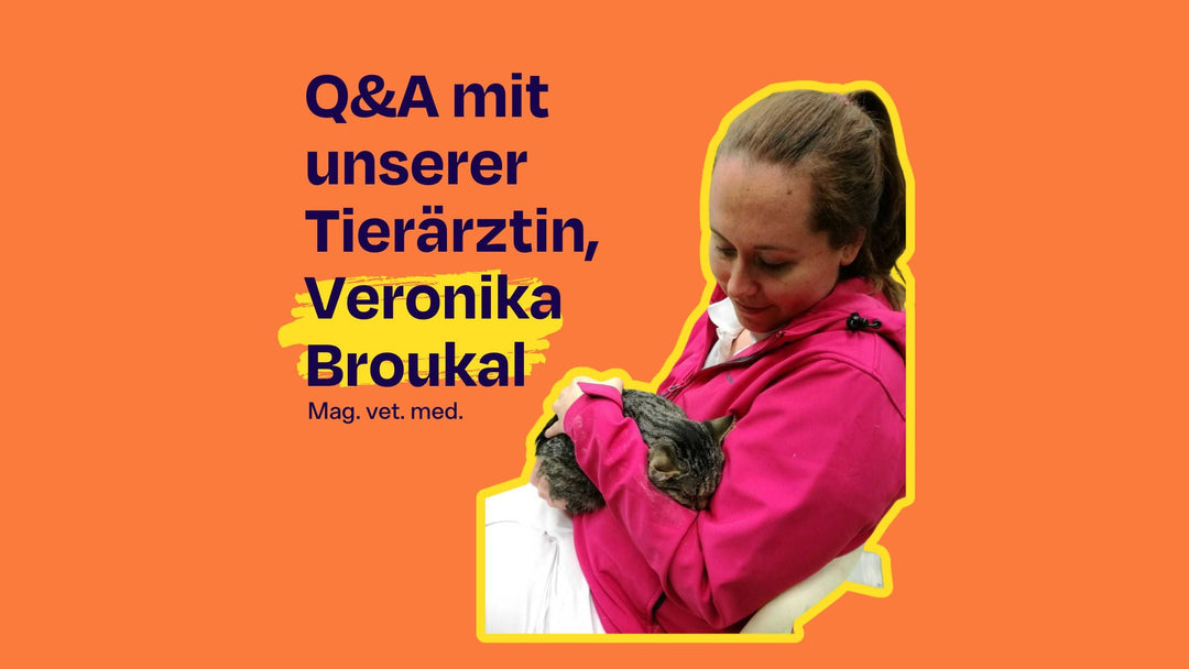 Q&A mit unserer Tierärztin Veronika