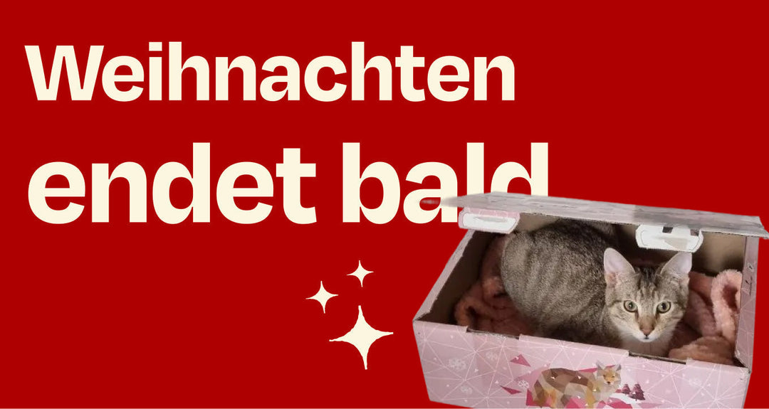 🎄 Achtung, Achtung – unsere Weihnachtskampagne endet in den nächsten Tagen!
