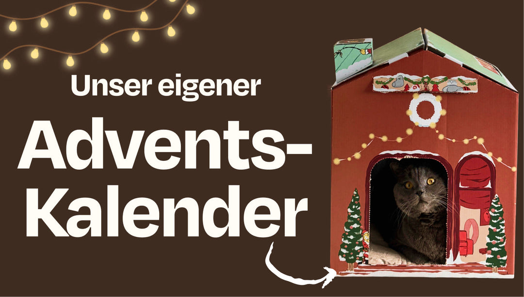 Er ist da! Unser erster Adventskalender 🎄