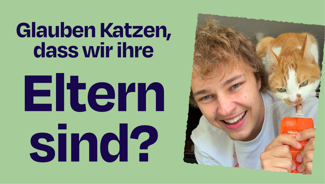 Glauben Katzen, das sie unsere Kinder sind? / Weltkindertag Special