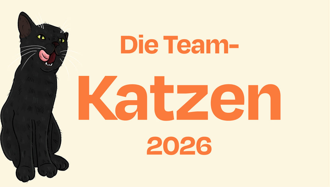 Unsere Teamkatzen - 2026 Edition 🐱