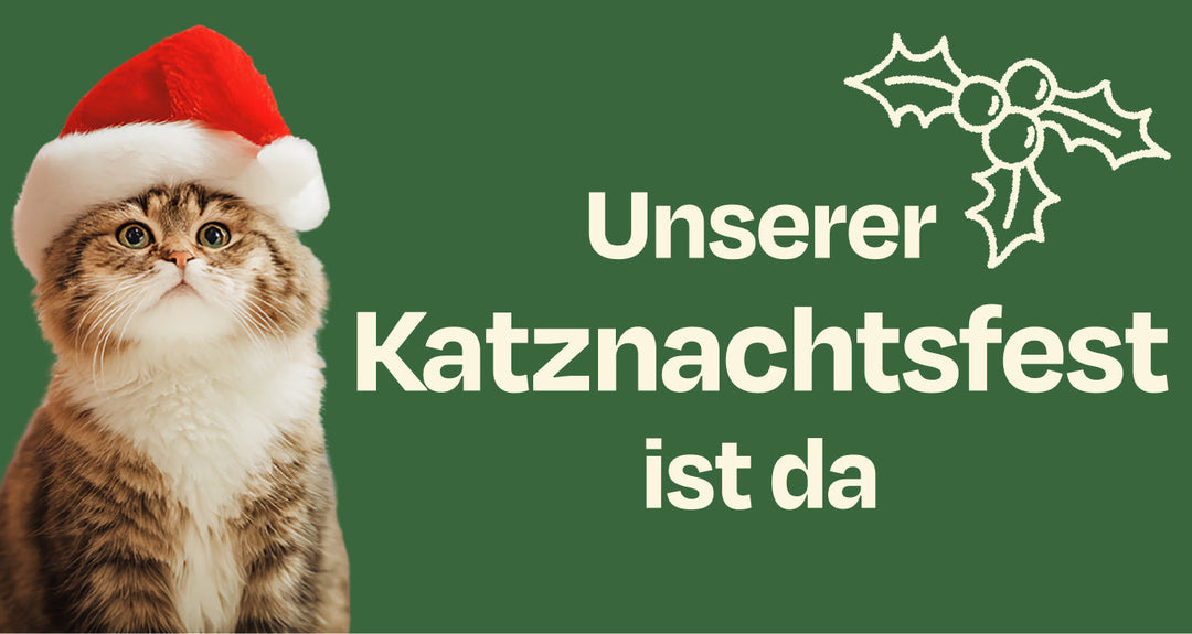 Es wird festlich und mukelig - Hallo Dezember 2025🎄