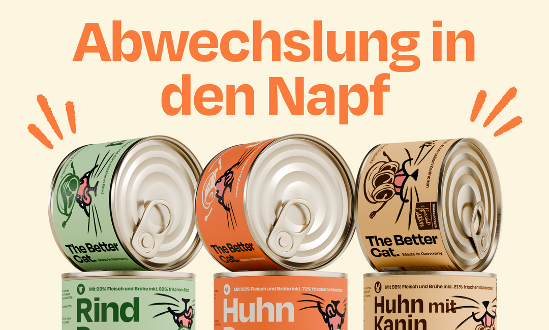 Warum Abwechslung im Napf so wichtig ist – und wie du sie richtig umsetzt