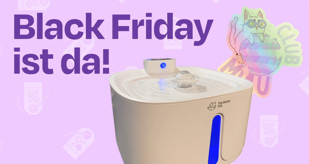 Die Spar-Zeit ist endlich da – entdecke unsere Black-Friday-Angebote