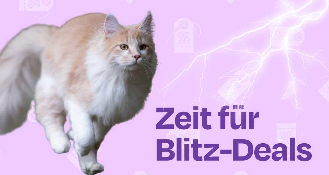 Die Woche des Black Fridays ist da – und die Blitz-Deals starten!