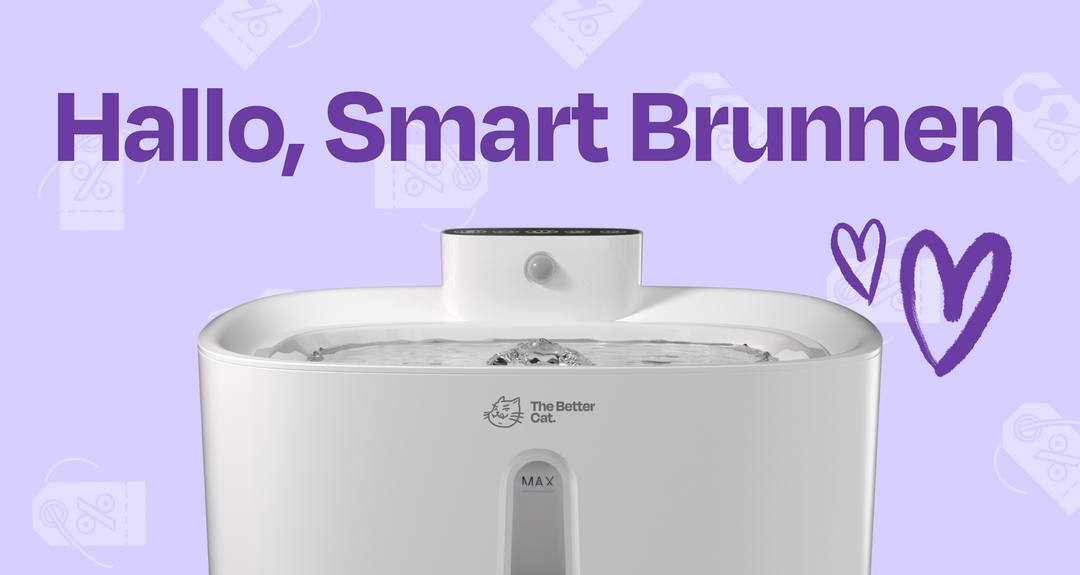 Endlich dürfen wir es verraten – unser eigener Trinkbrunnen ist da!