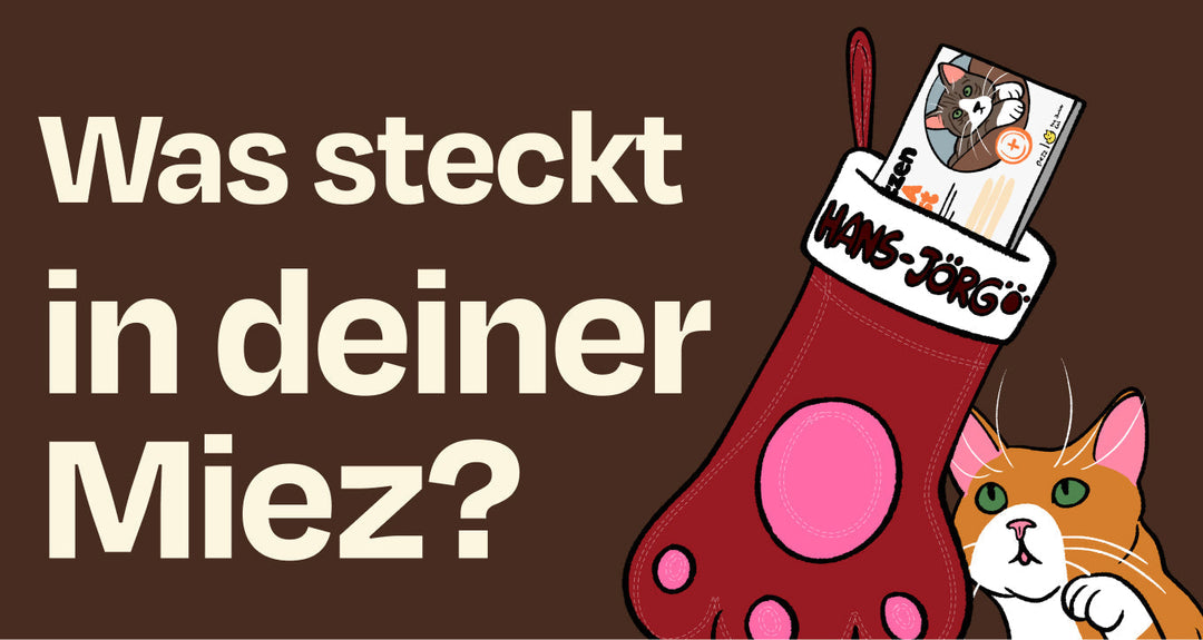 Wie funktioniert unser Katzen-DNA-Kit? Eine ausführliche Anleitung 🐱‍👓