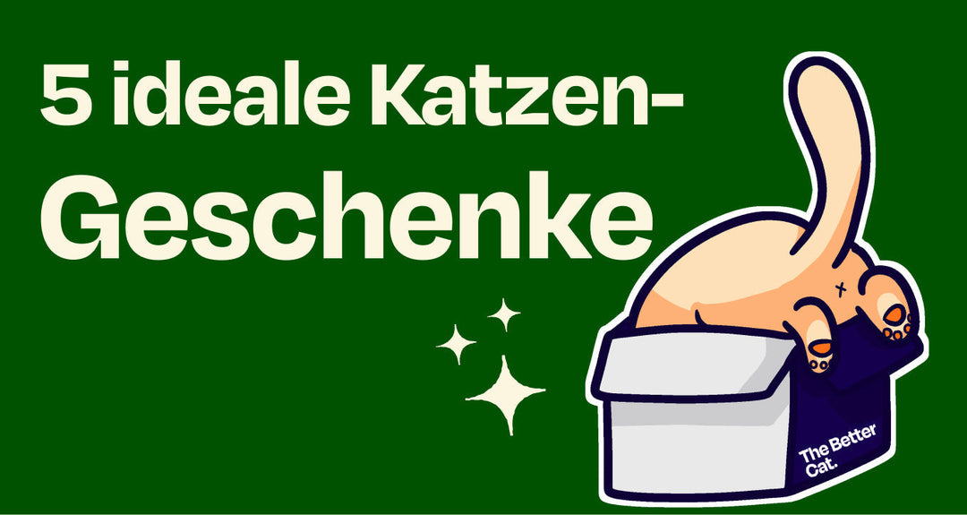 5 liebevolle Geschenkideen, die deiner Katze wirklich etwas bedeuten