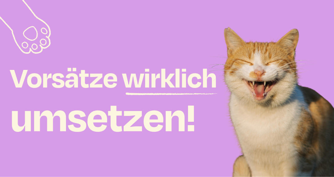 So setzen du und Miez eure Neujahrsziele auch wirklich um!