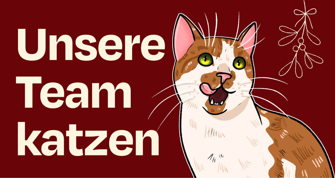 Unsere Teamkatzen - 2025 Edition