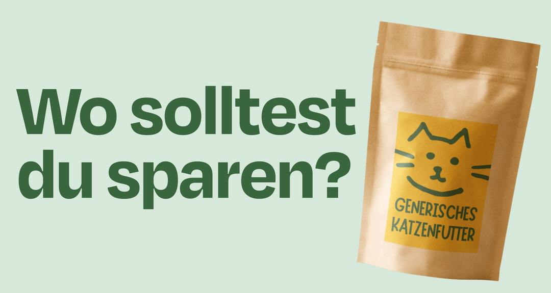 Katzenprodukte: Wo sich sparen lohnt – und wo Qualität zählt