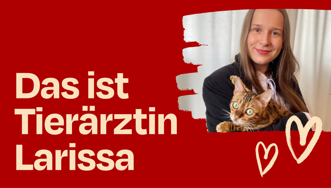 Unsere neue Tierärztin und Expertin - das ist Larissa!