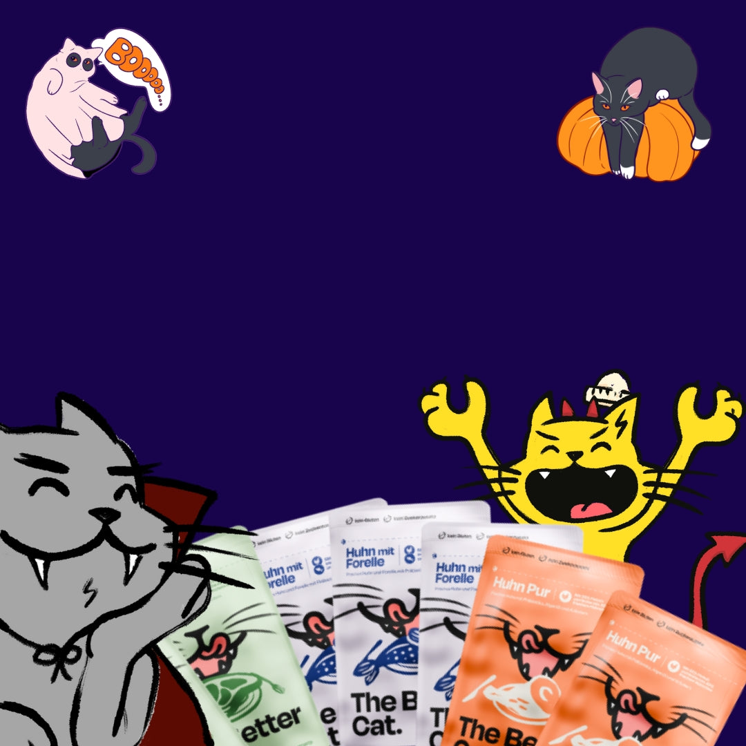 Halloween Merch