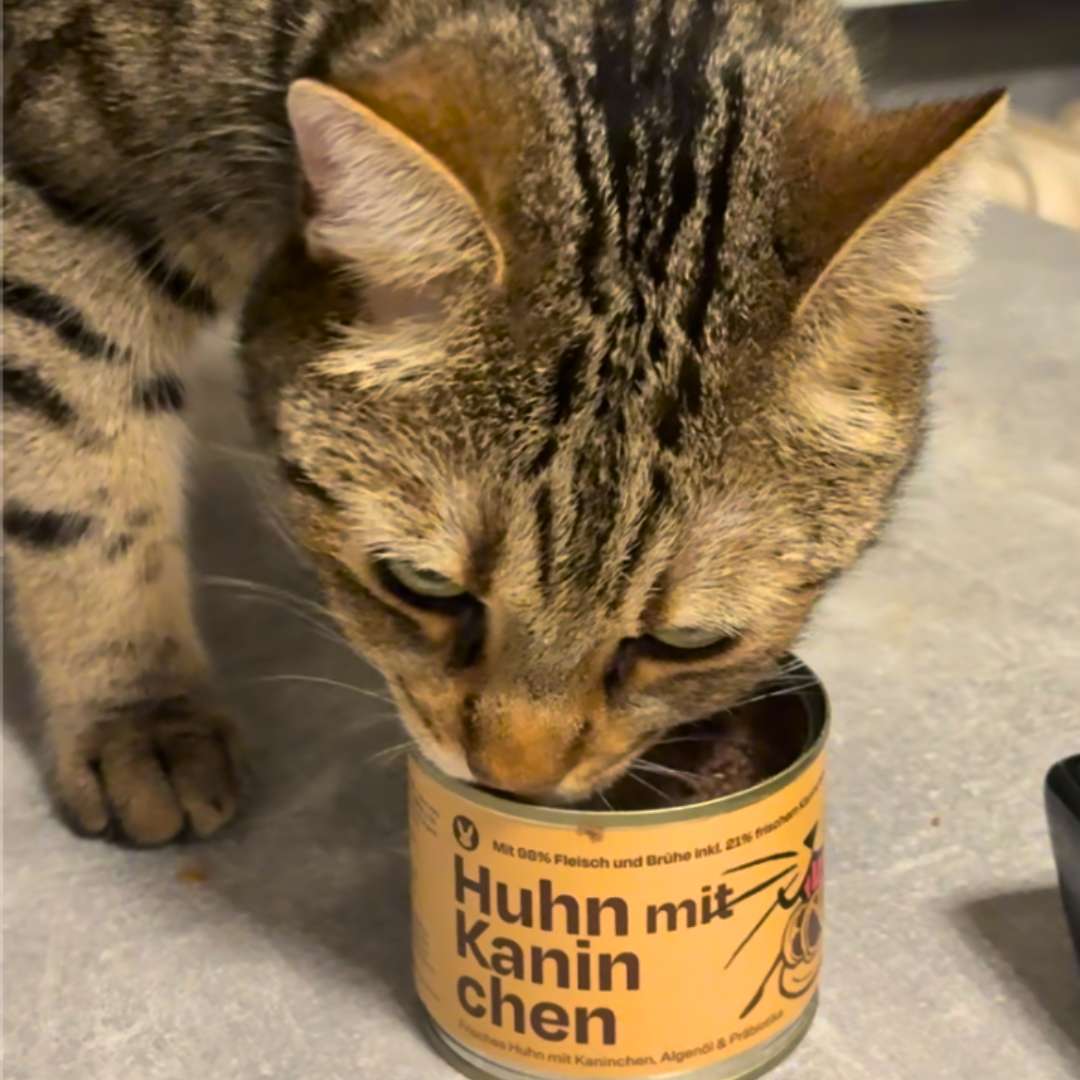 6x200g Huhn mit Kaninchen Nassfutter