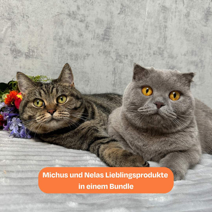 Michu & Nela’s Advents-Bundle