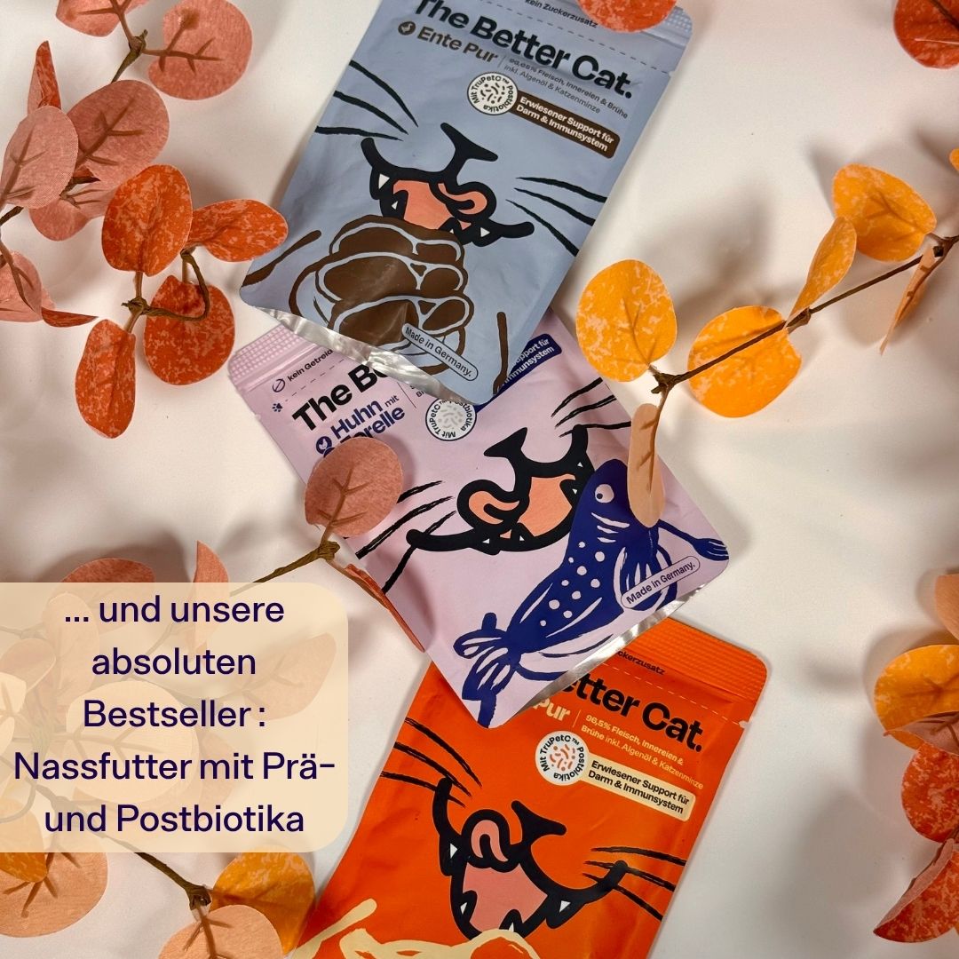 TBC Adventskalendar 2026