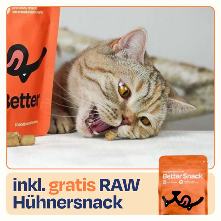 Deluxe Starterpack mit GRATIS Thermo, Appetit Booster & Snack