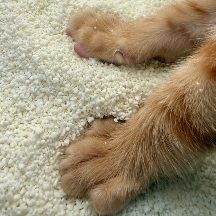 Holy Sh*t – Pflanzliche Katzenstreu