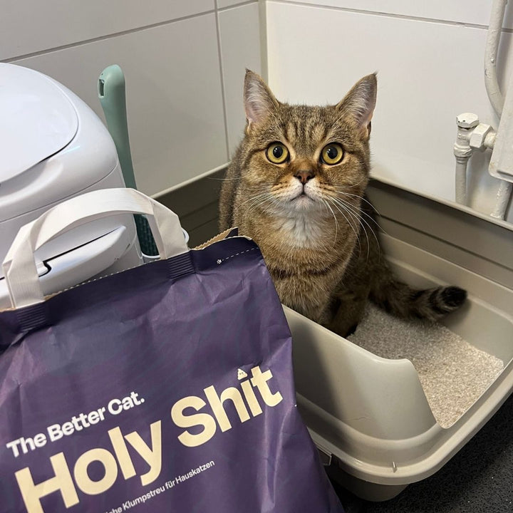 Holy Sh*t – Pflanzliche Katzenstreu