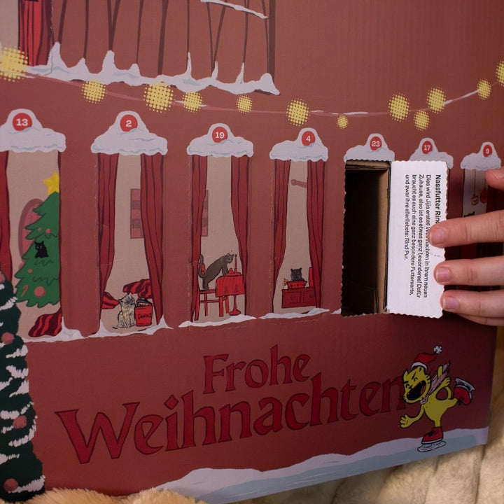 TBC Adventskalendar 2026