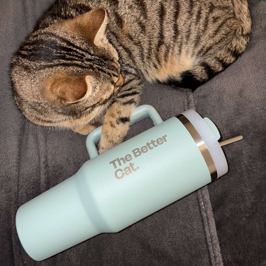 Catmas Bundle inkl. GRATIS Thermo deiner Wahl