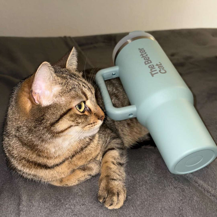 Catmas Bundle inkl. GRATIS Thermo deiner Wahl