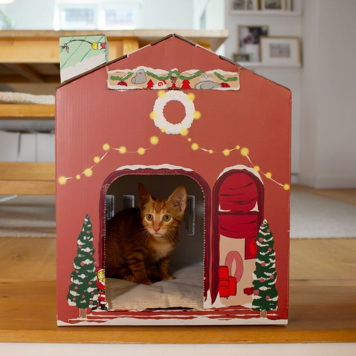 TBC Adventskalendar 2026