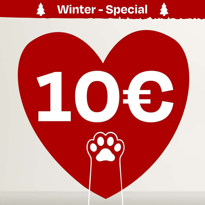 Catmas Spenden-Voucher – 10 € für Soul of Strays