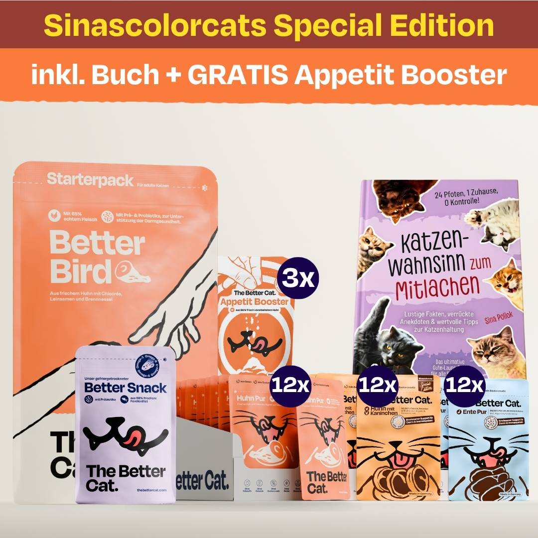 Sinas Lieblingspaket mit Buch & GRATIS Appetit Booster