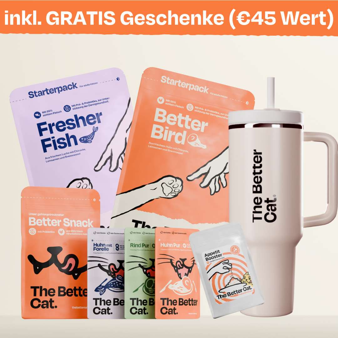 Deluxe Starterpack mit GRATIS Thermo, Appetit Booster & Snack
