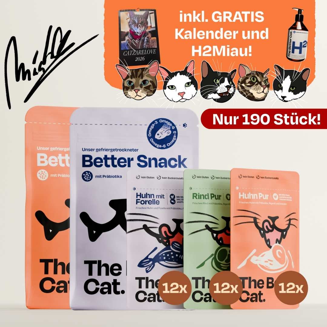 Catzarelove Bundle inkl. GRATIS Kalendar & H2Miau