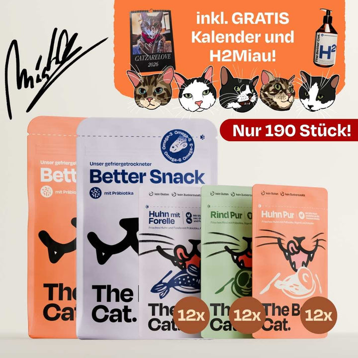 Catzarelove Bundle inkl. GRATIS Kalendar & H2Miau