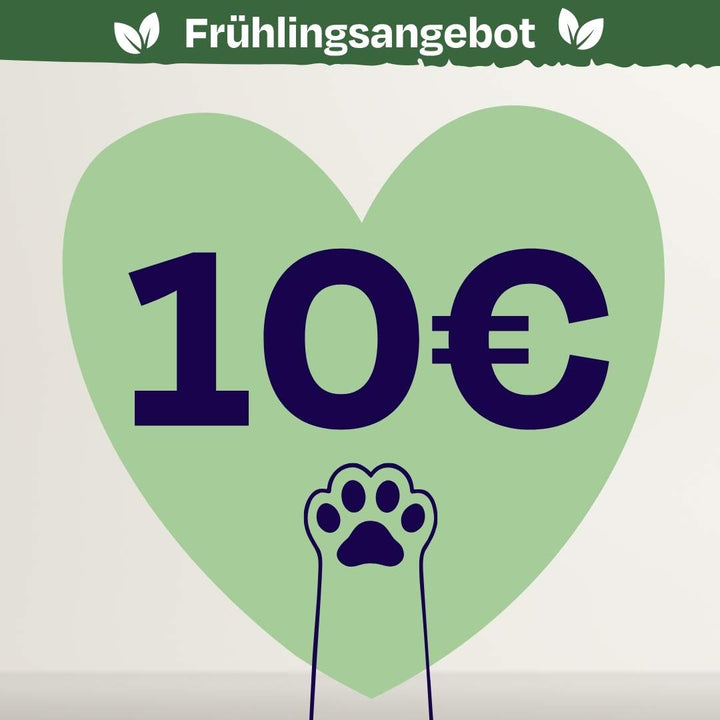 Oster Spenden-Voucher – 10 € für Soul of Strays