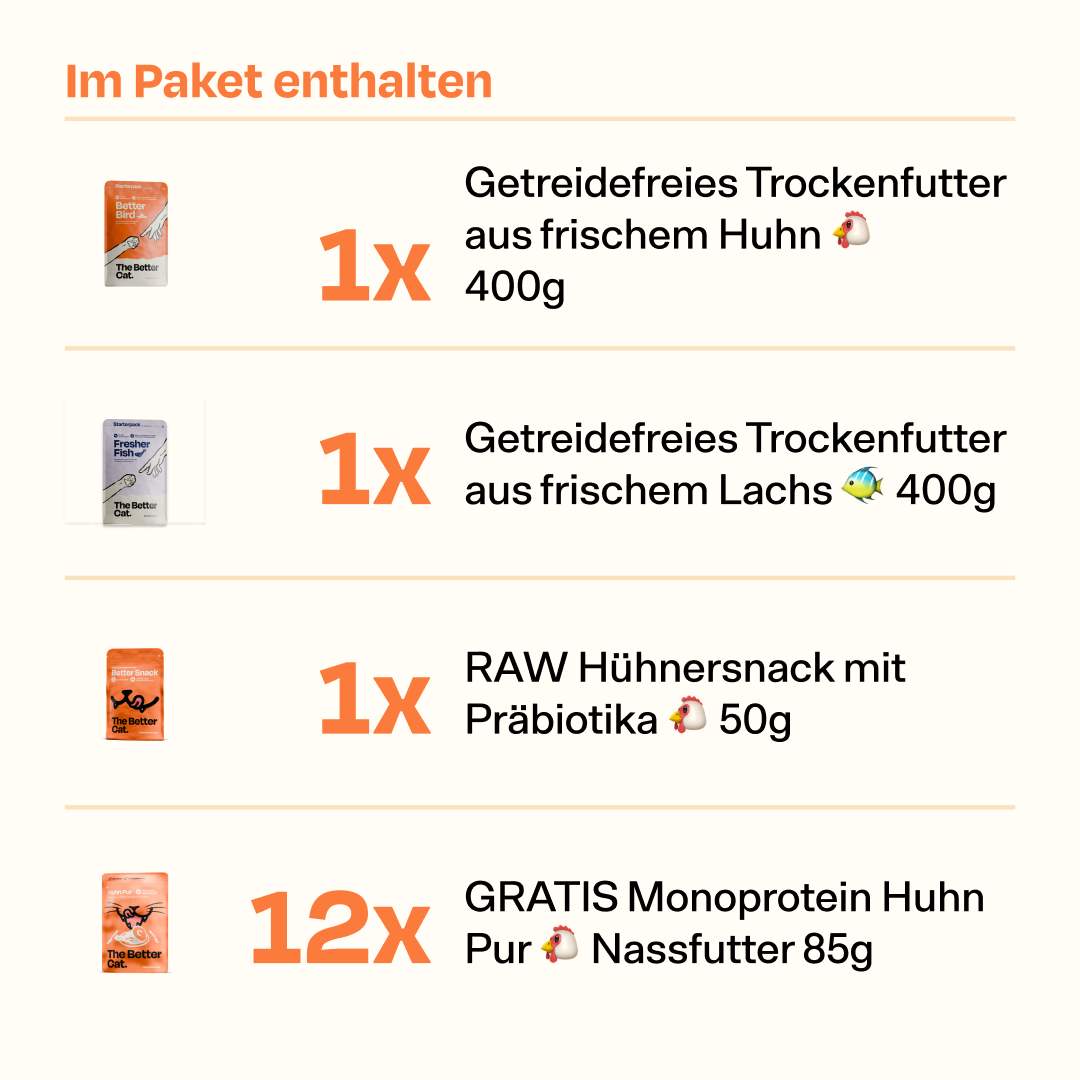 Trockenfutter Starterpack inkl. 2 Wochen GRATIS Nassfutter