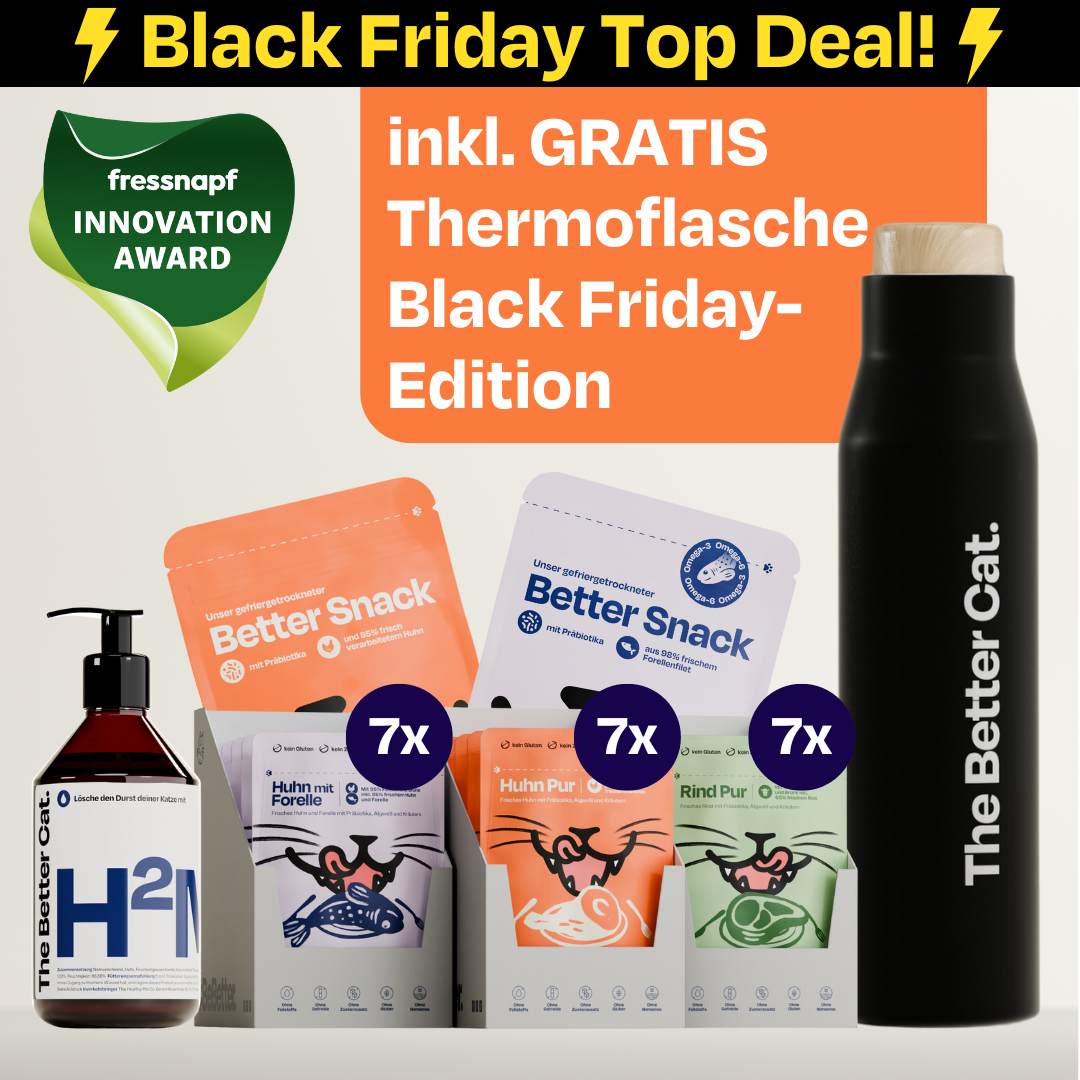 7 Katzenleben Bundle mit GRATIS Thermoflasche