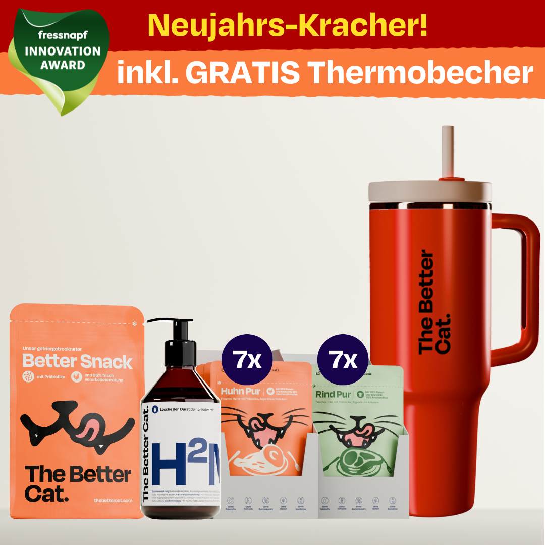 Winter-Bundle inkl. GRATIS Thermobecher