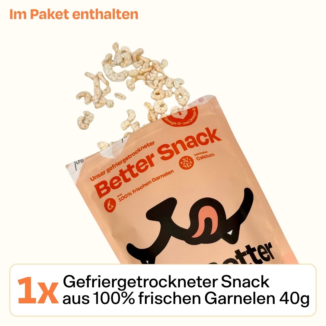40g gefriergetrockneter Garnelen-Snack - Signature Selection 🦐