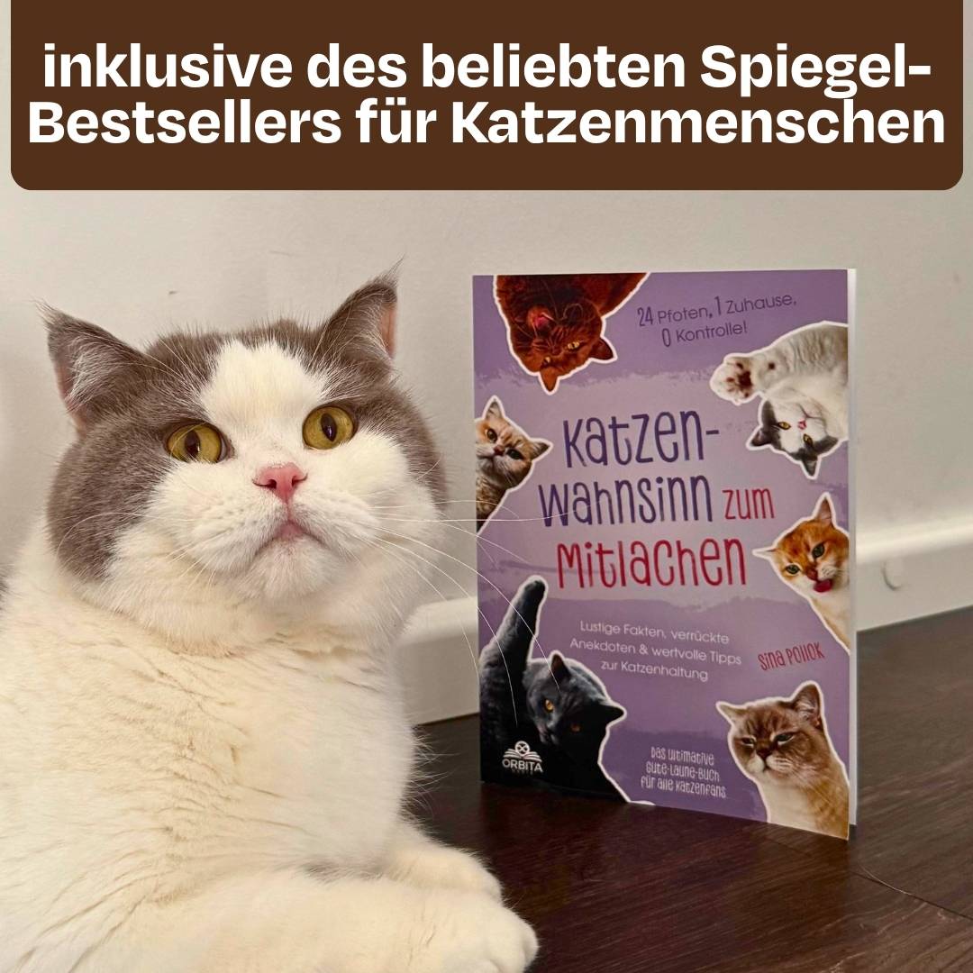 Sinas Lieblingspaket mit Buch & GRATIS Appetit Booster
