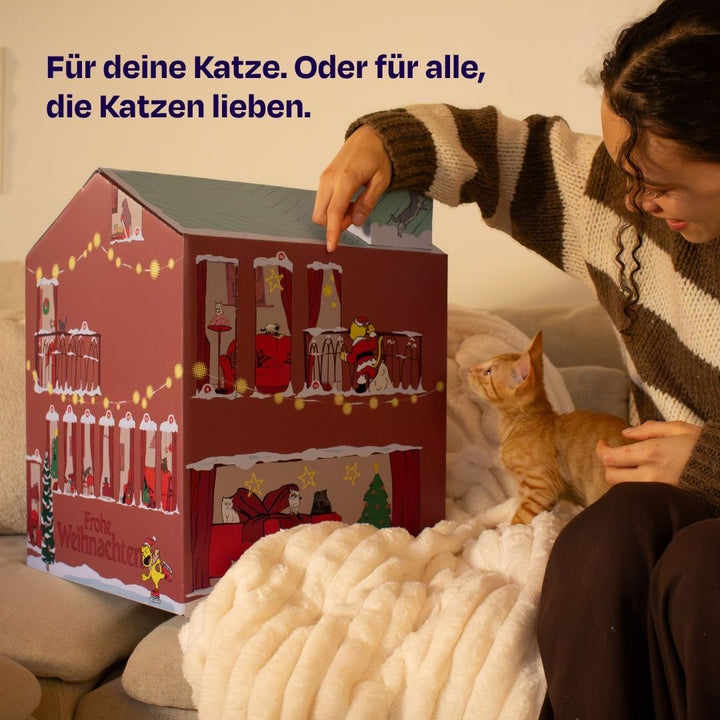 TBC Adventskalendar 2026