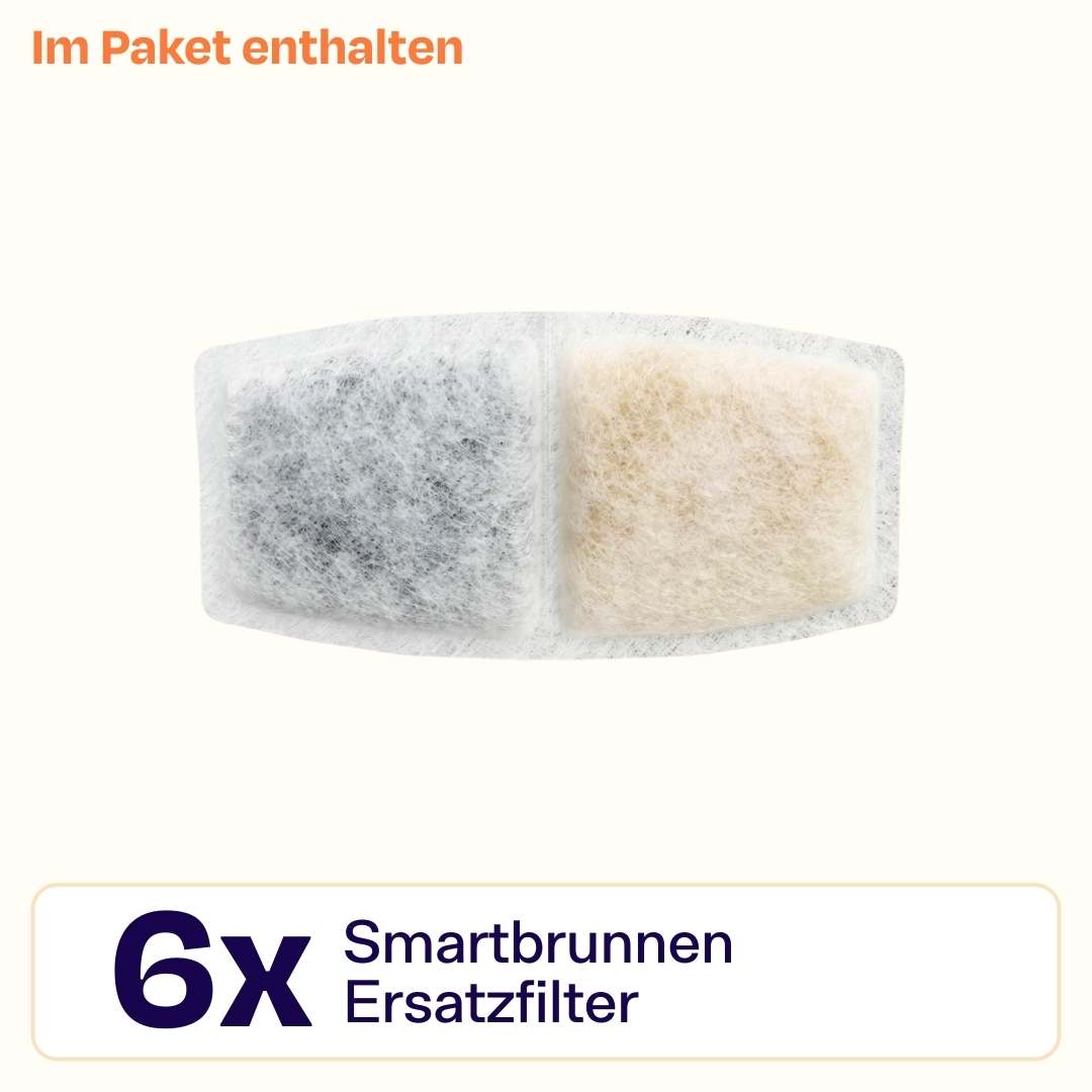 6x Smartbrunnen Filter