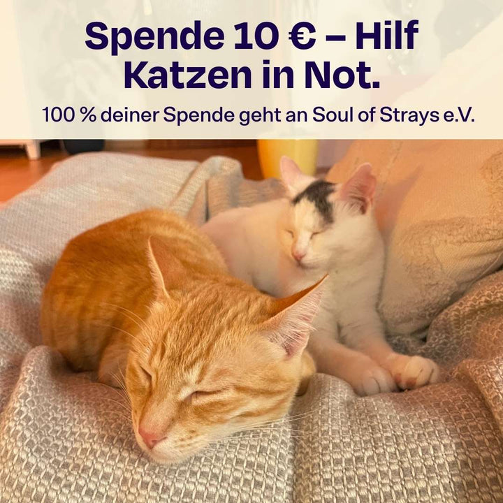 Catmas Spenden-Voucher – 10 € für Soul of Strays