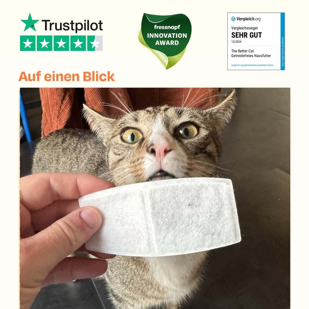 6x Smartbrunnen Filter