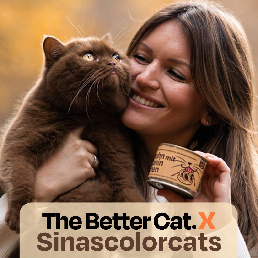 6x200g Huhn mit Kaninchen Nassfutter