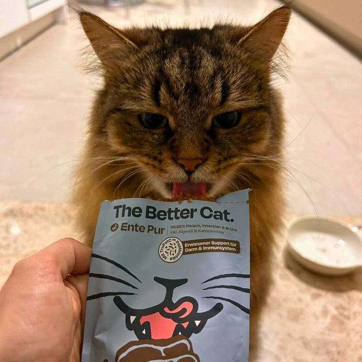 Nassfutter Starterpack inkl. GRATIS H2Miau Hydration Booster