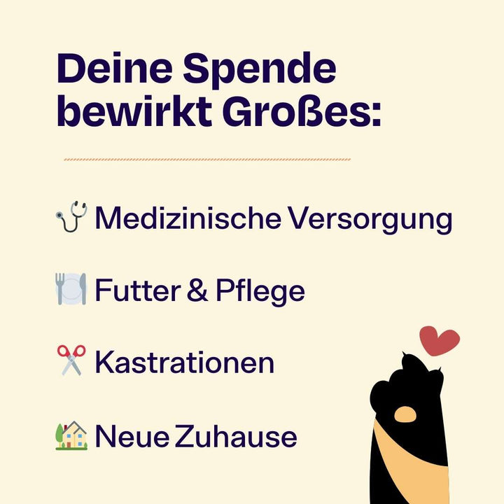 Catmas Spenden-Voucher – 10 € für Soul of Strays